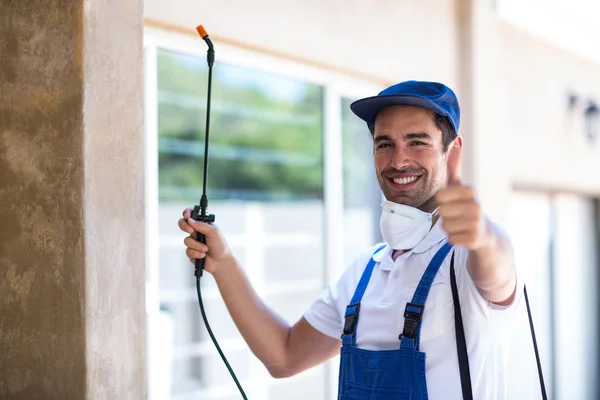 Toledo Wasp Removal