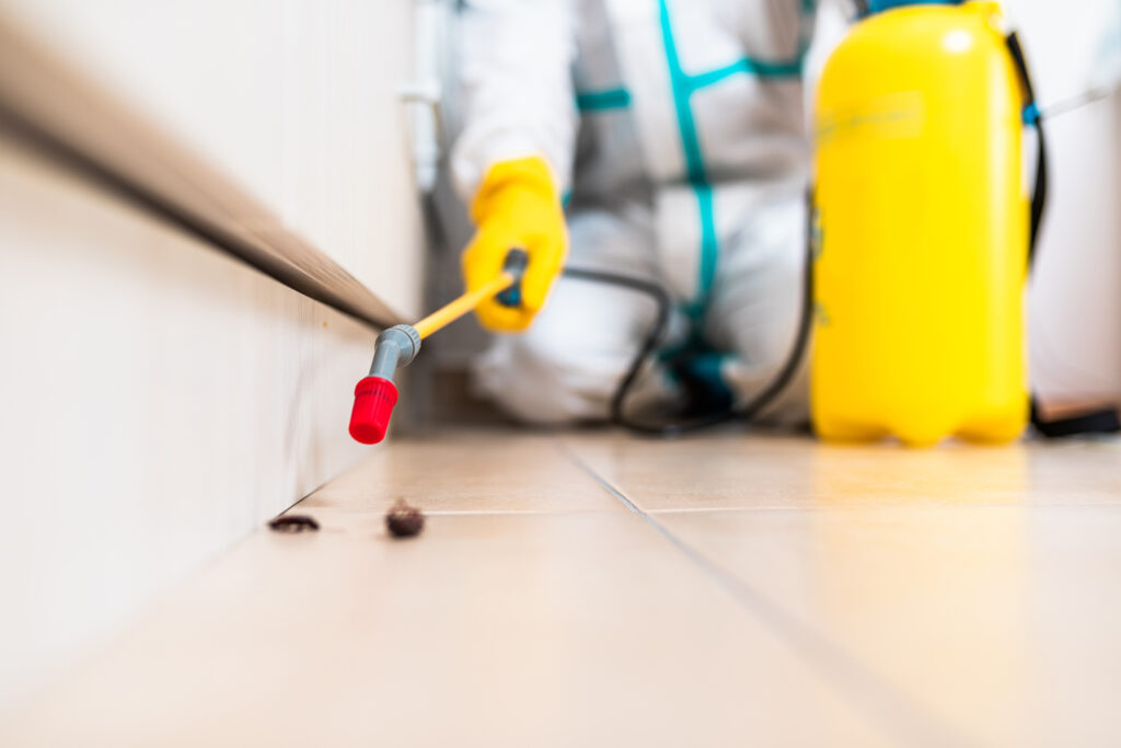 Toledo Cockroach Experts