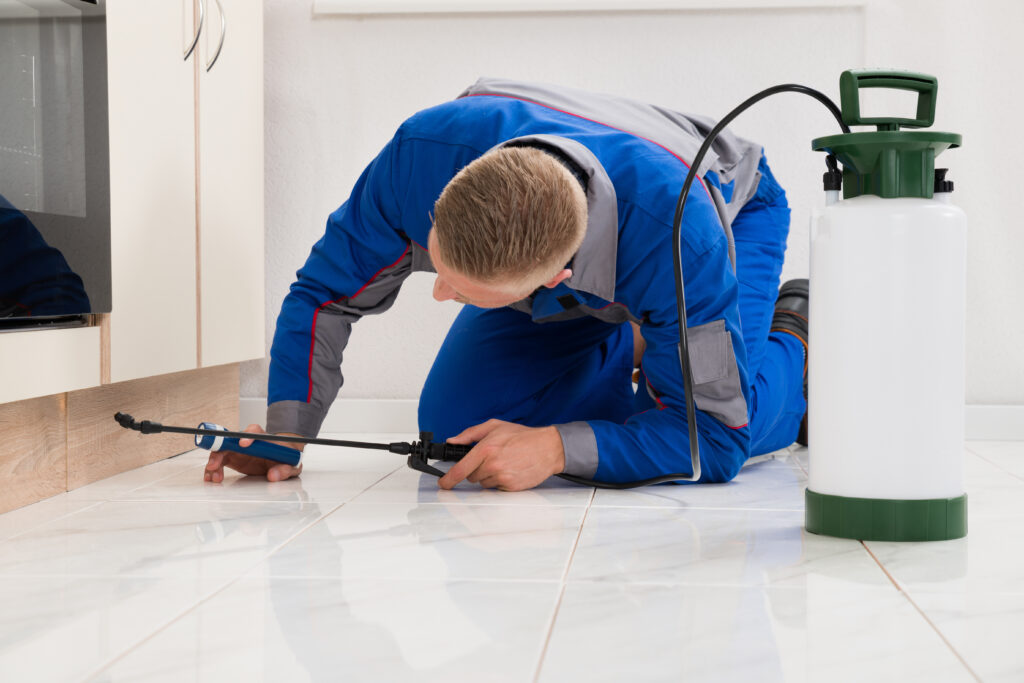 Toledo Ant Control Xperts