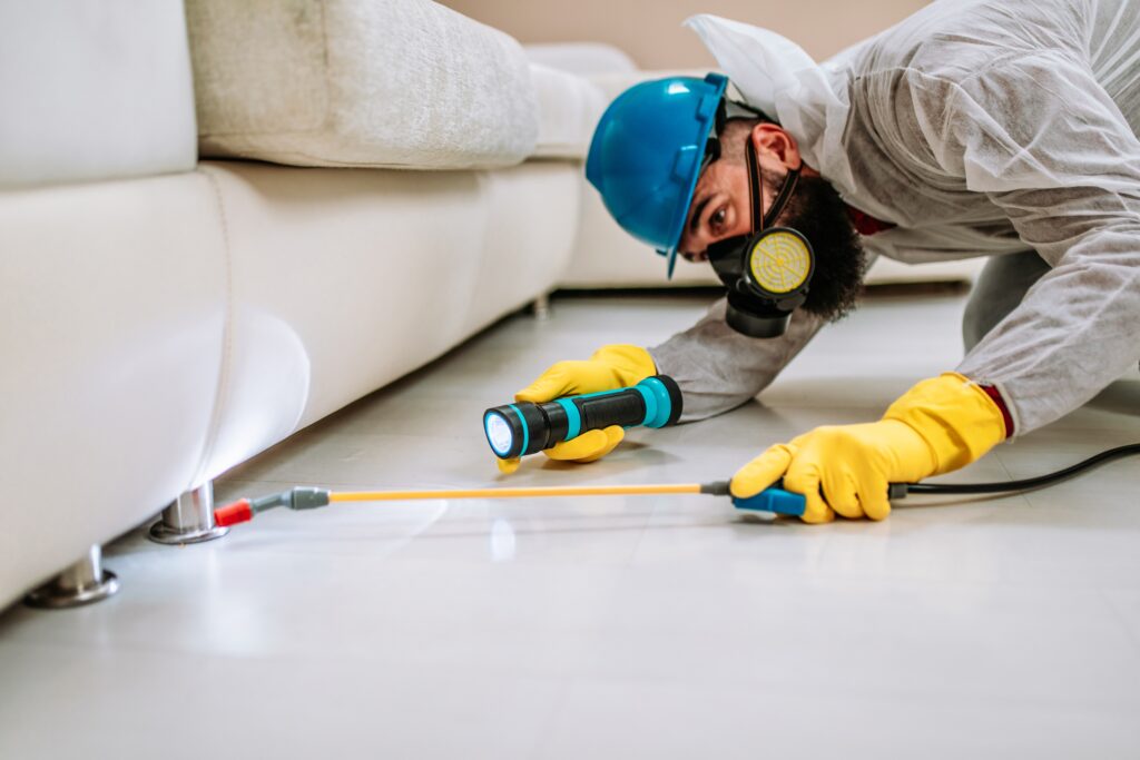 Toledo Termite Control