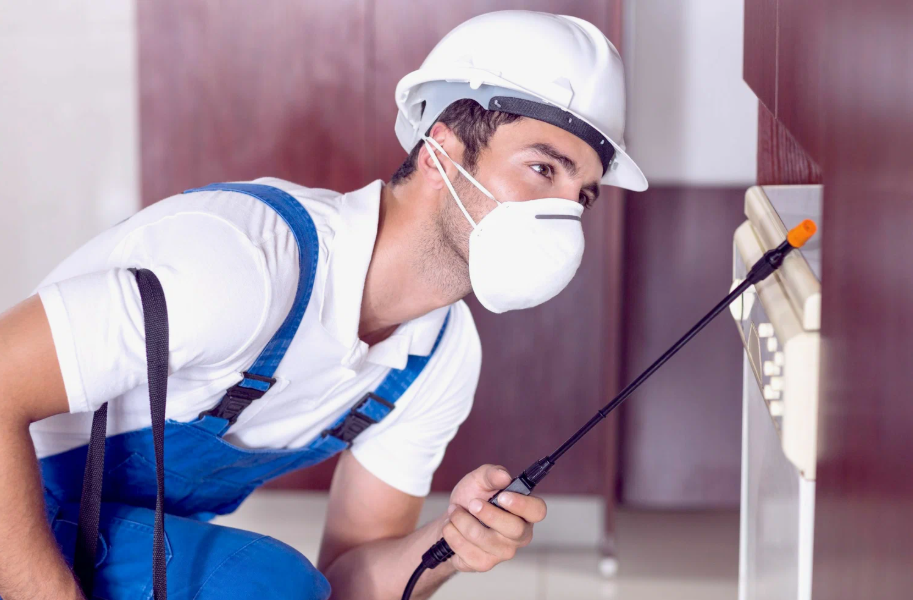 Toledo local pest services