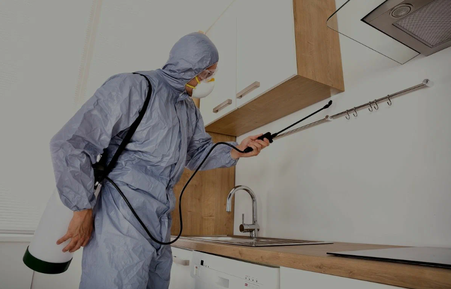 Toledo pest managment