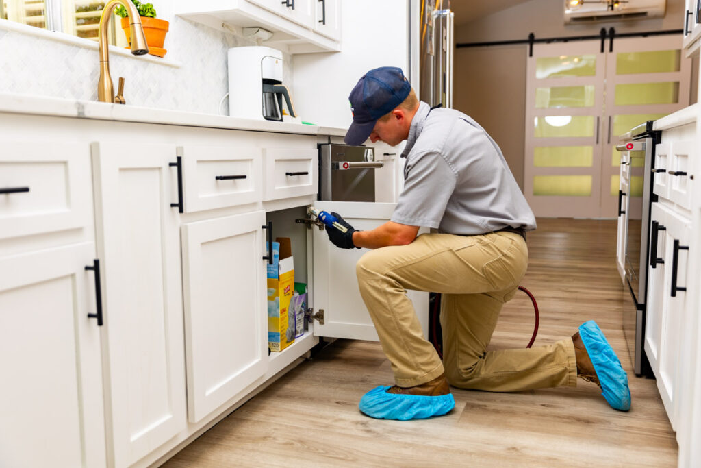 Toledo xpert pest management